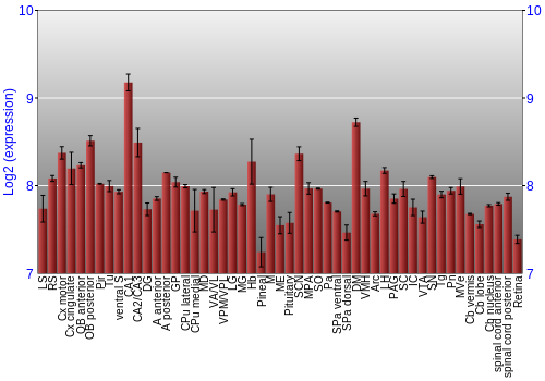 Expression graph