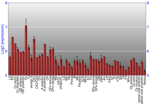 Expression graph