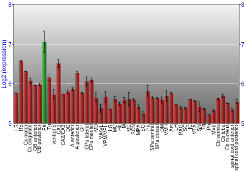 Multi-state expression graph
