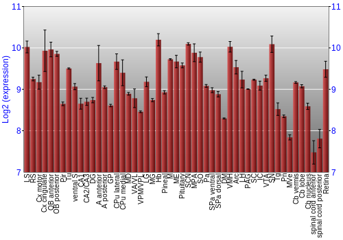 Expression graph
