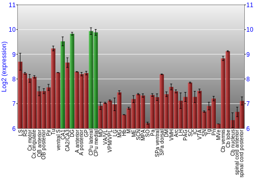 Multi-state expression graph