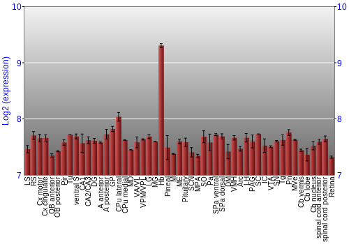 Expression graph