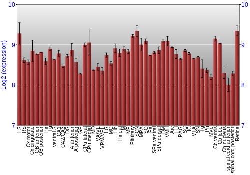 Expression graph