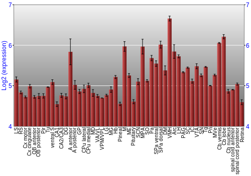 Expression graph