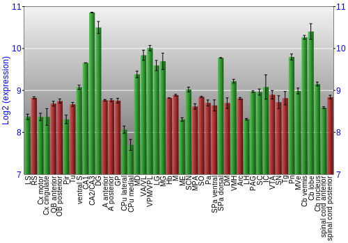 Multi-state expression graph