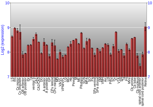 Expression graph