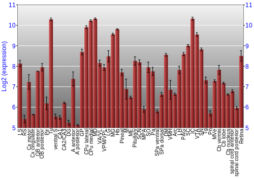 Expression graph