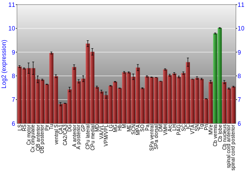 Multi-state expression graph