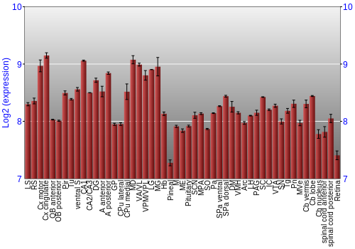 Expression graph