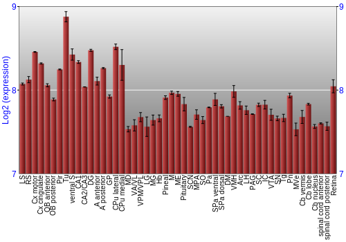 Expression graph