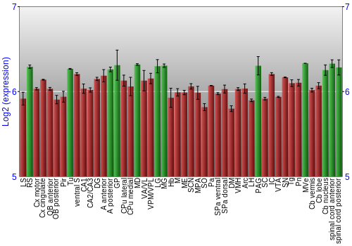 Multi-state expression graph