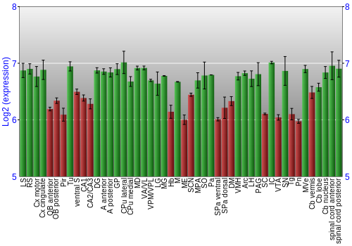 Multi-state expression graph