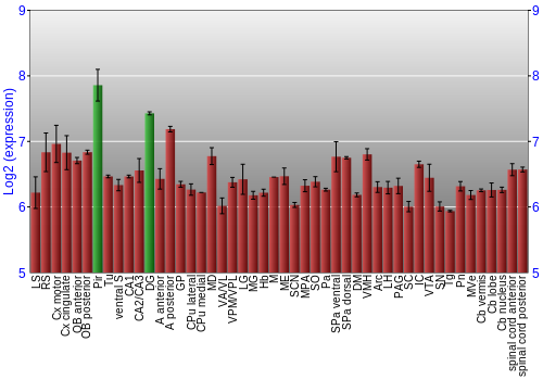 Multi-state expression graph