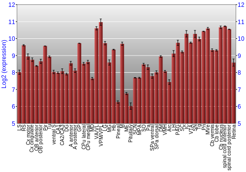 Expression graph