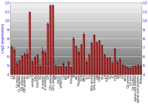 Expression graph