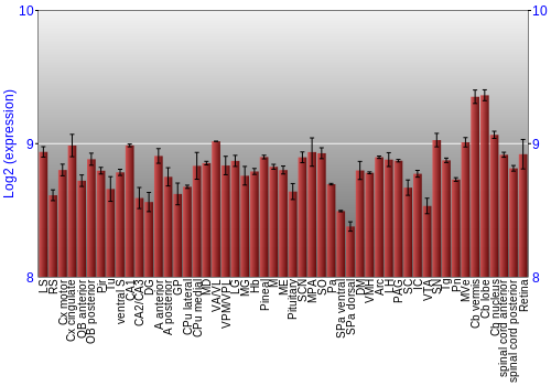 Expression graph