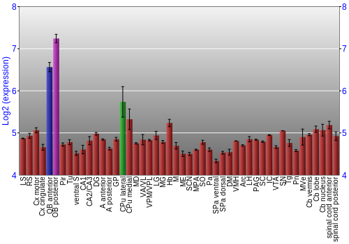 Multi-state expression graph