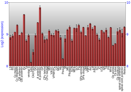 Expression graph