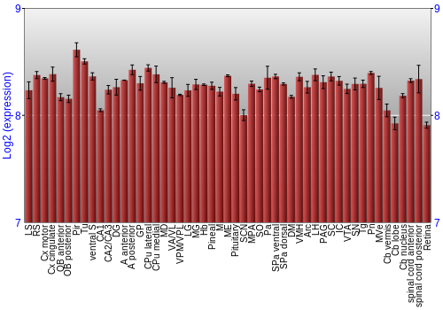Expression graph
