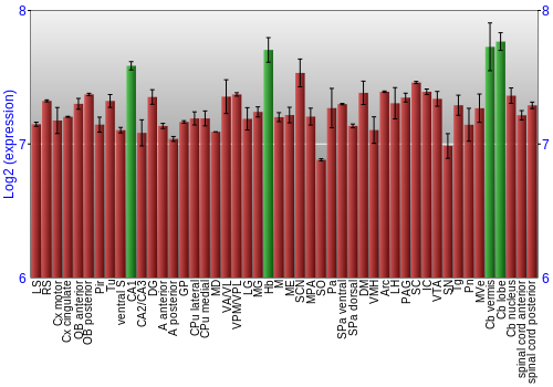 Multi-state expression graph