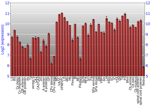 Expression graph
