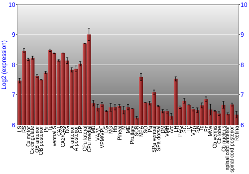 Expression graph