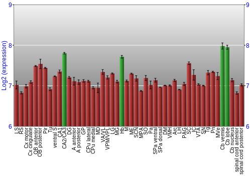 Multi-state expression graph