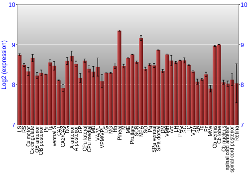 Expression graph