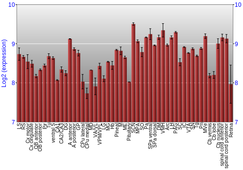 Expression graph