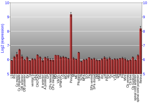 Expression graph