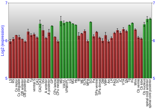 Multi-state expression graph