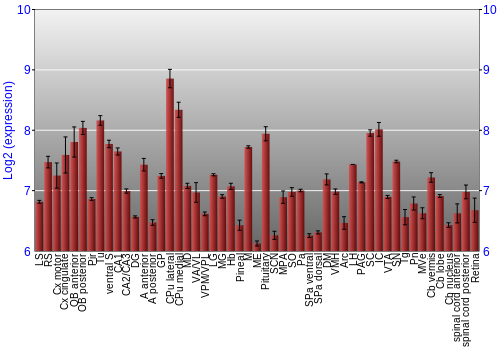 Expression graph