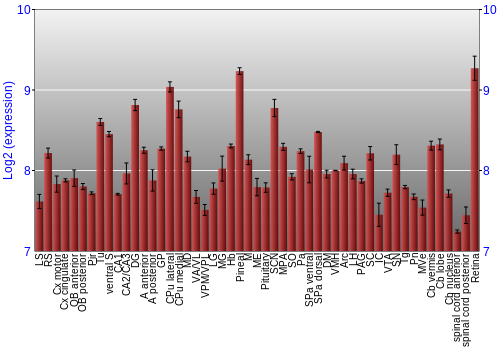 Expression graph