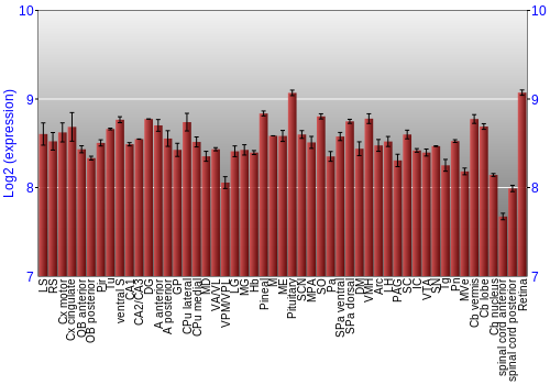 Expression graph