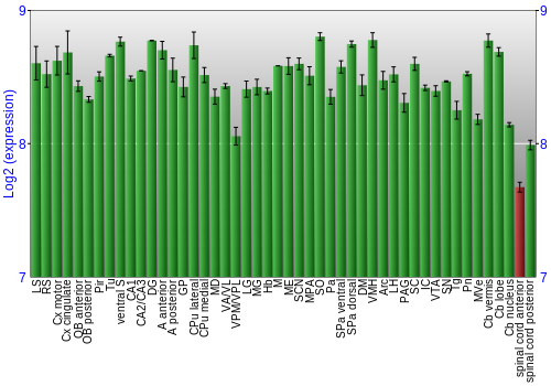 Multi-state expression graph