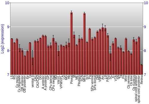 Expression graph