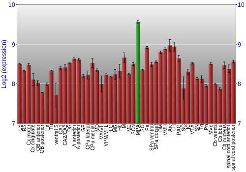 Multi-state expression graph