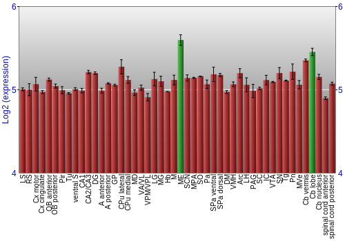 Multi-state expression graph