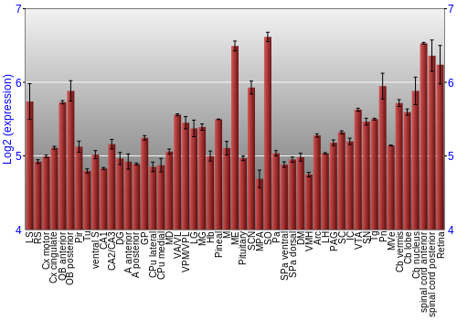 Expression graph