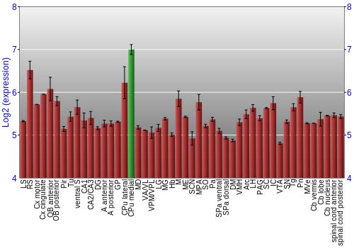 Multi-state expression graph