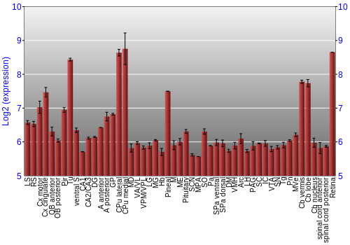 Expression graph