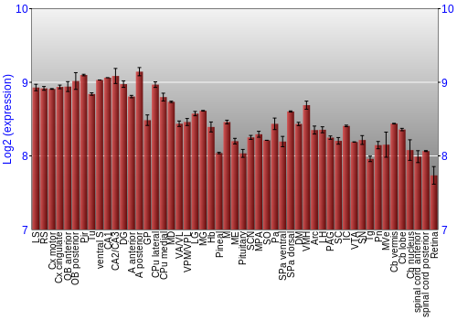 Expression graph