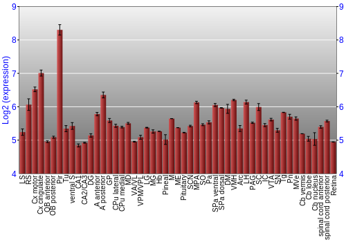 Expression graph
