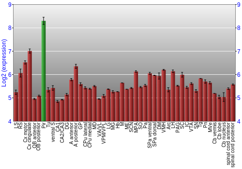 Multi-state expression graph
