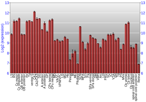 Expression graph