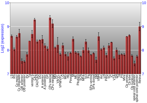 Expression graph