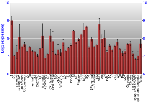 Expression graph