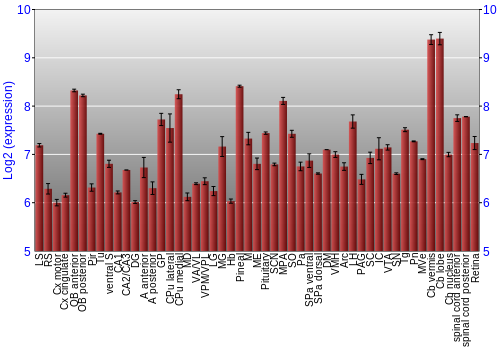 Expression graph
