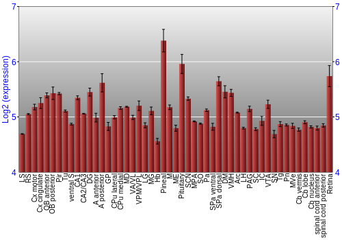 Expression graph
