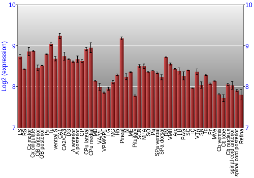Expression graph